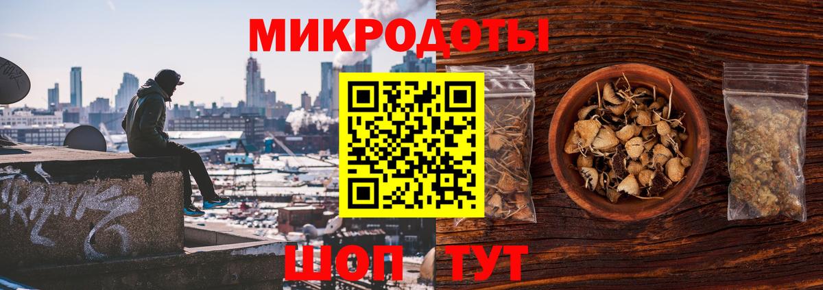 купить закладку  Галлюциногенные грибы MAGIC MUSHROOMS  Вход с VPN  Сургут 
